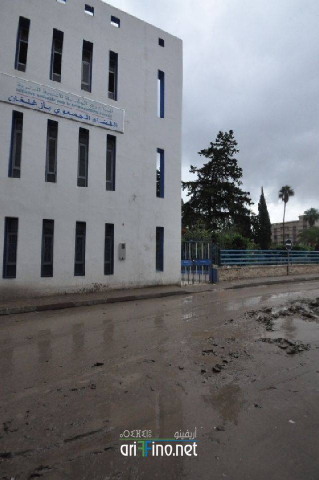 nador3017