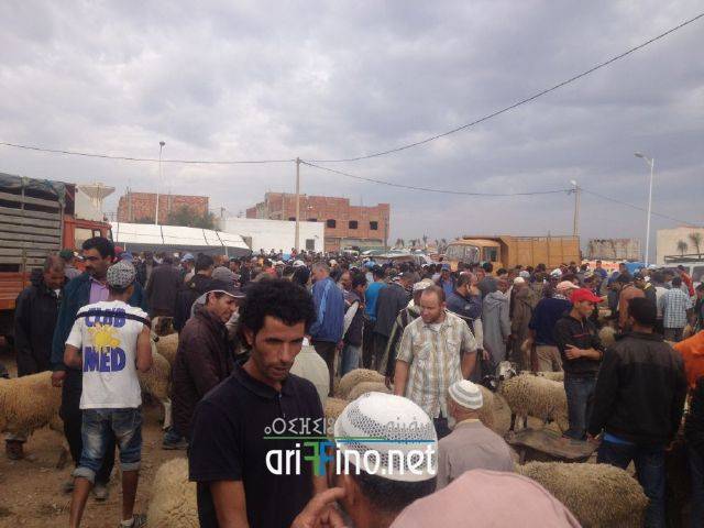 nador3190