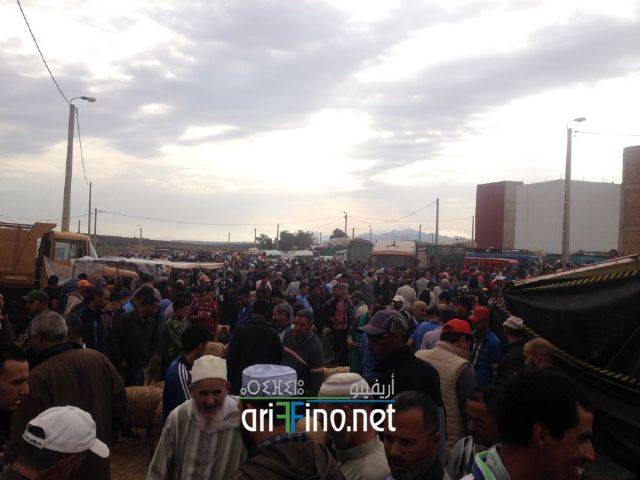 nador3195
