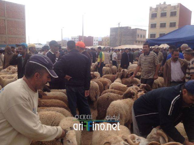 nador3196
