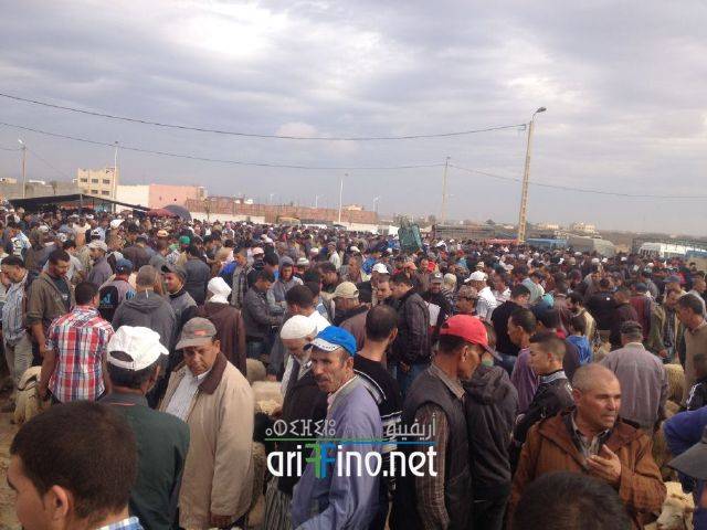 nador3197