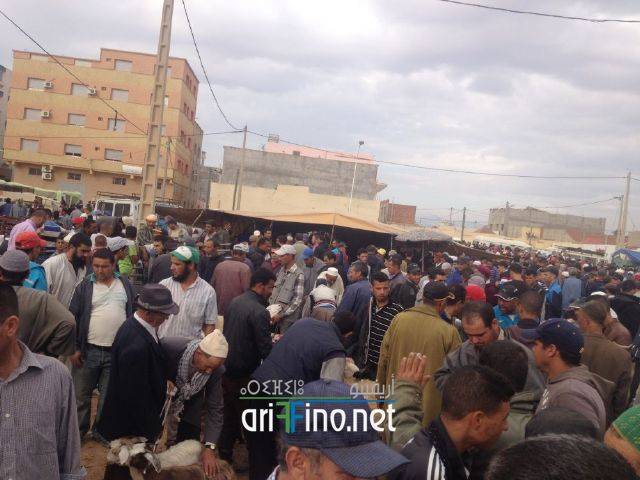 nador3202