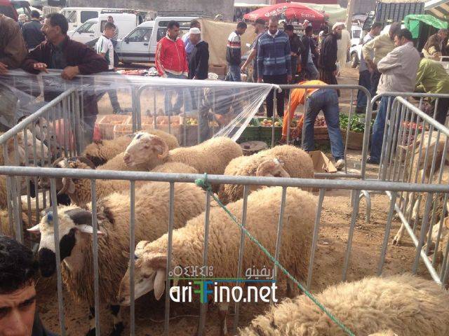 nador3204