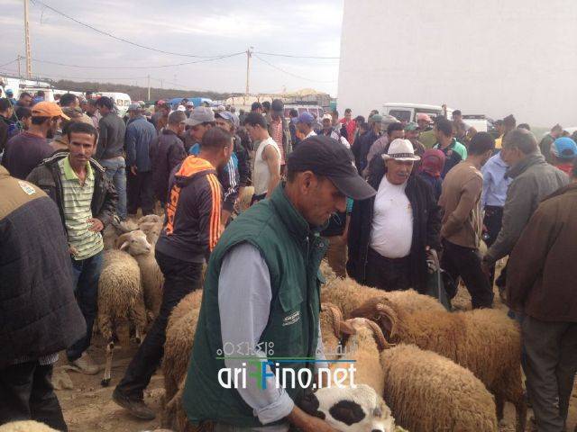 nador3206
