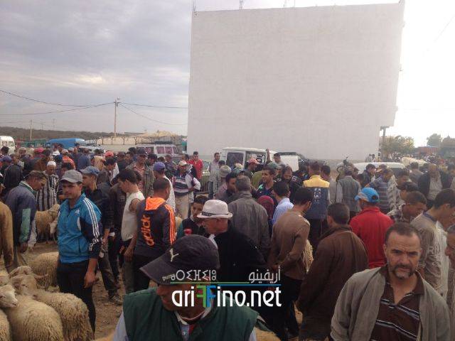 nador3207