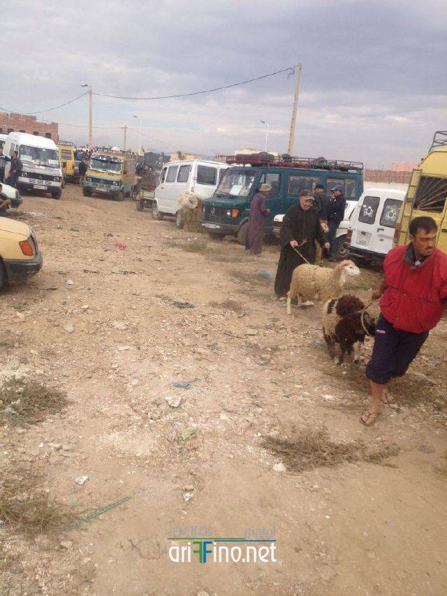 nador3208