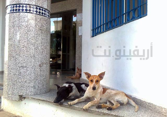 photo0155