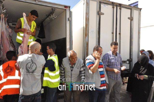ariffino3677