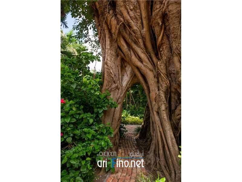 most_expensive_home_us0008