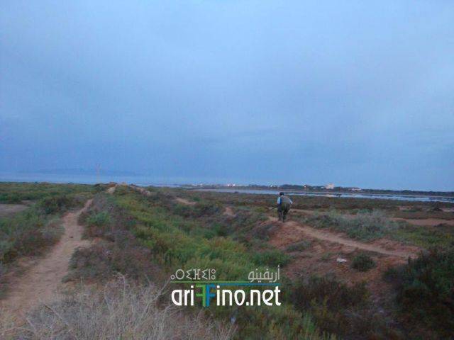 nador0139