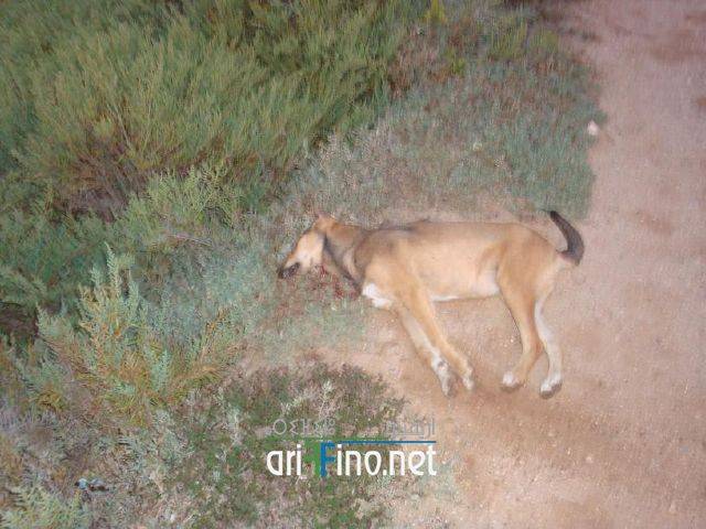 nador0140