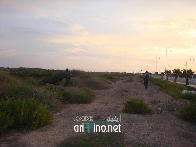 nador0145