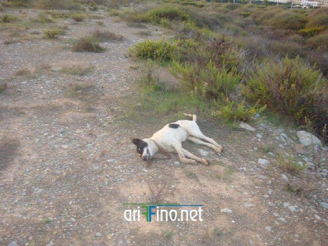 nador0146
