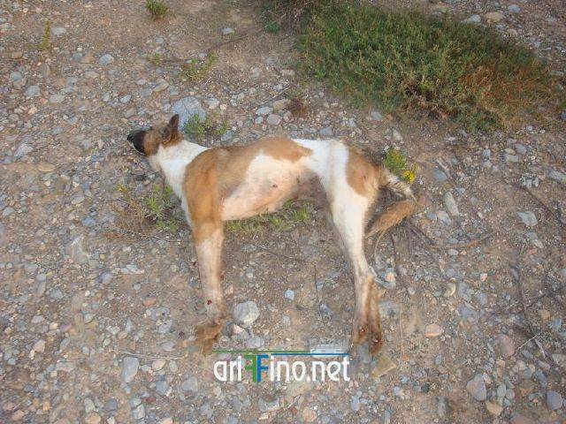 nador0148
