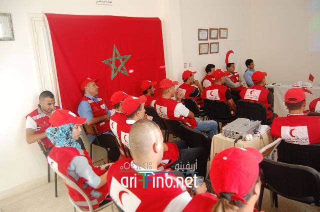 nador0255