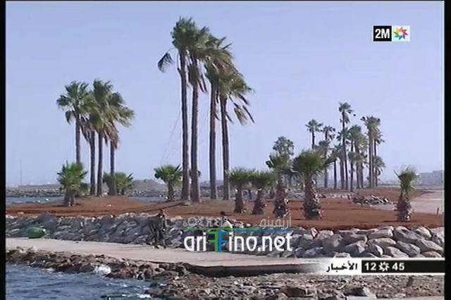 nador0443