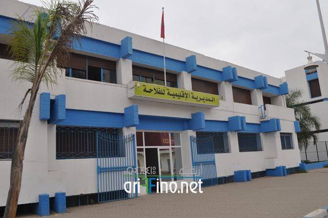 nador0963