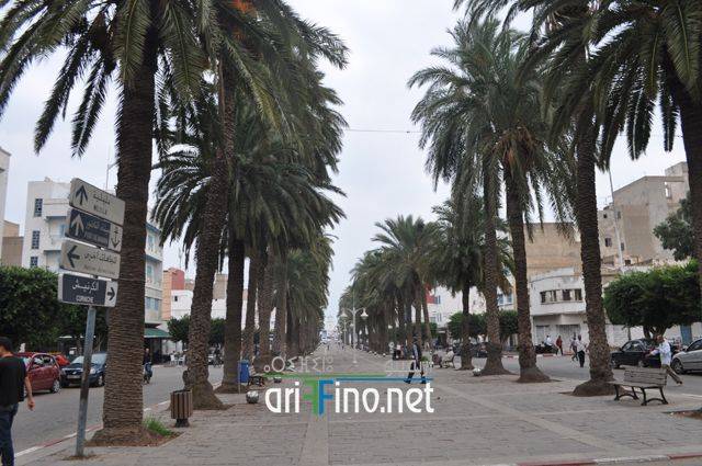 nador0991