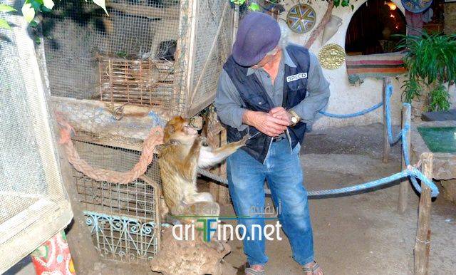 nador1088