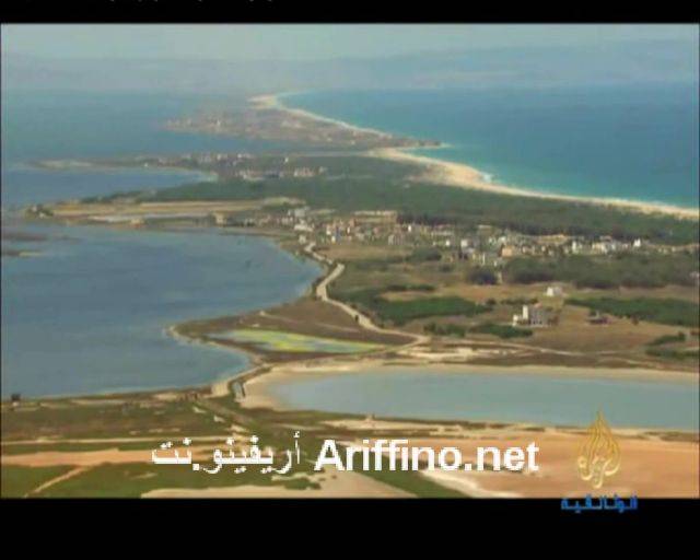 nador1541