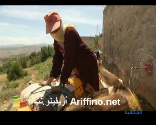 nador1581