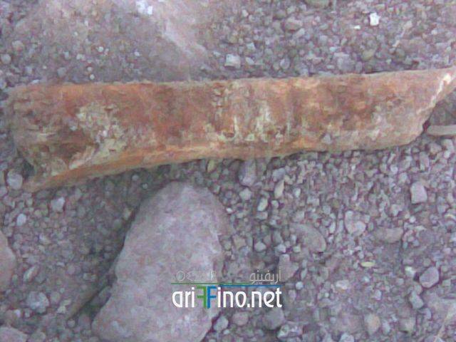 nador0142
