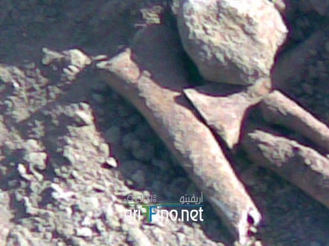 nador0145