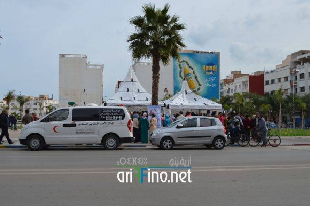 nador0205
