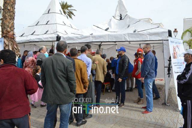 nador0208