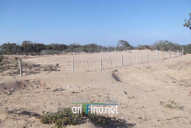 nador0425