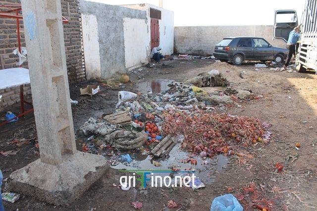 nador0619