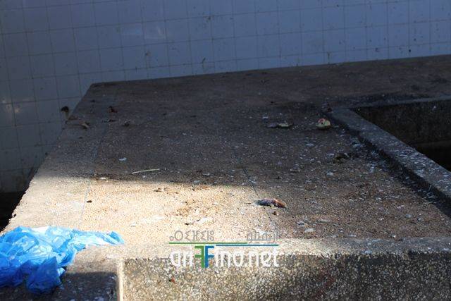 nador0633