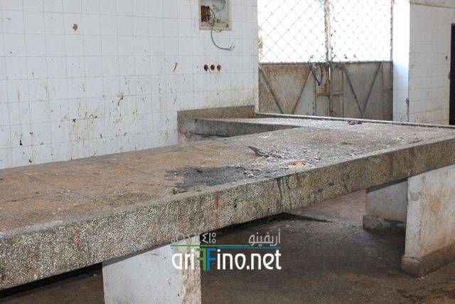 nador0634