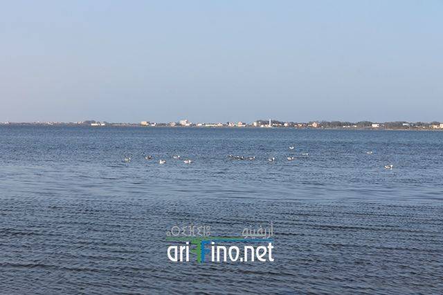nador0647