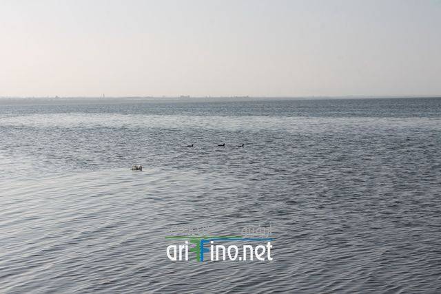 nador0648