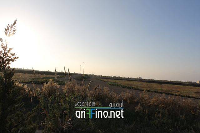 nador0699