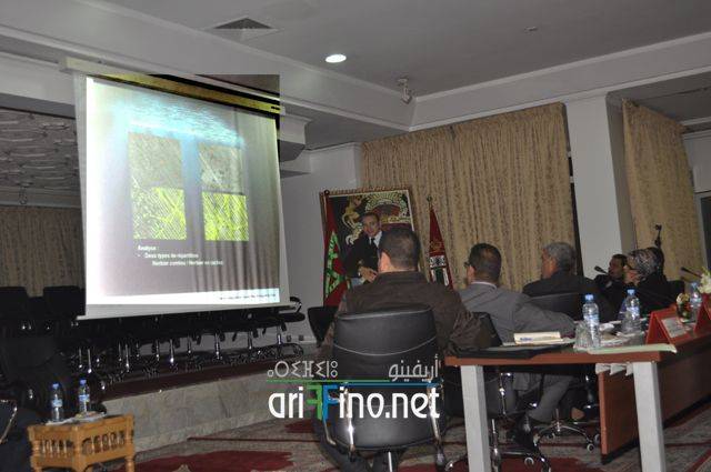 nador0799