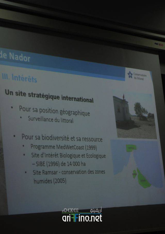 nador0810