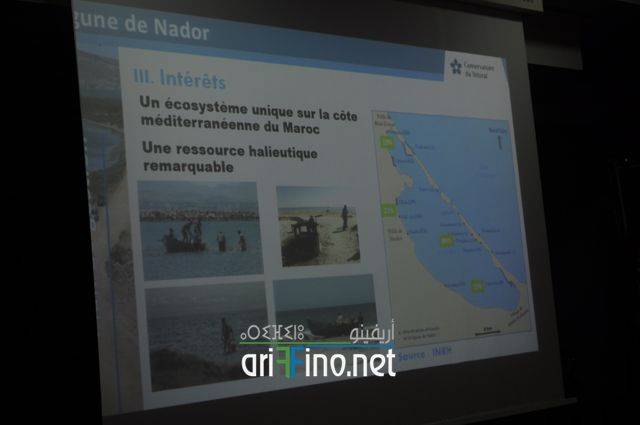nador0812