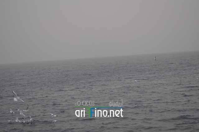 nador0936