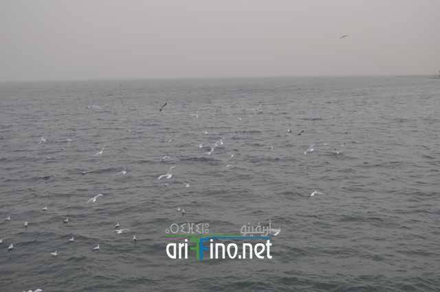 nador0939