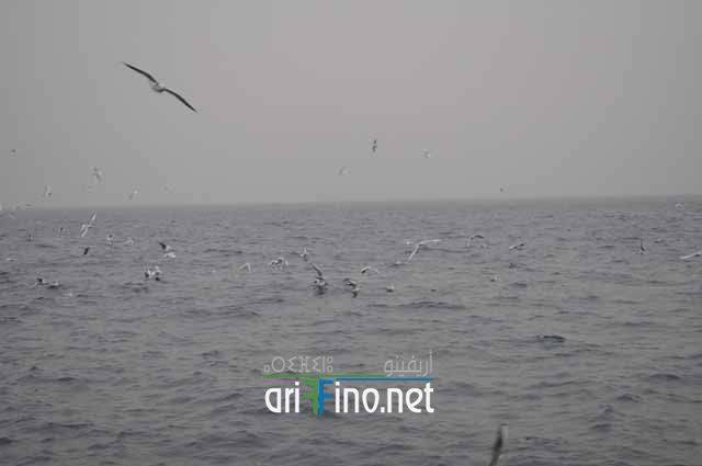 nador0941