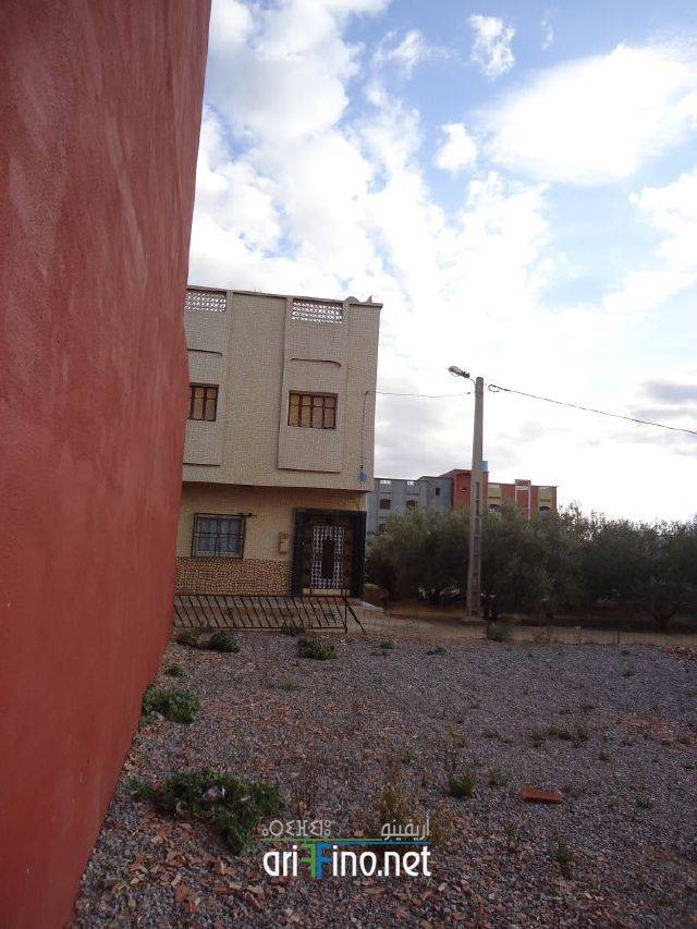nador1263