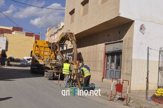 nador1362