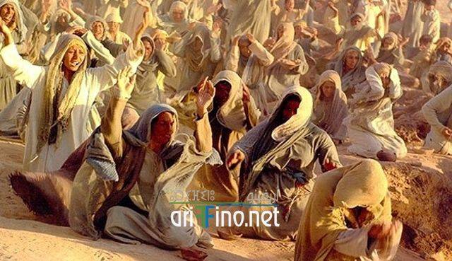 nador1520