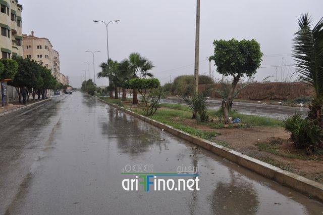 nador1682
