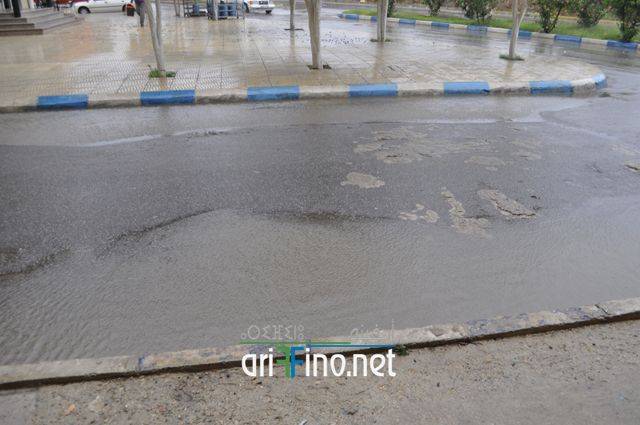 nador1703
