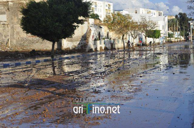 nador1753