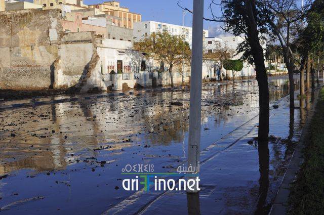 nador1754