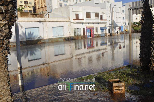 nador1756